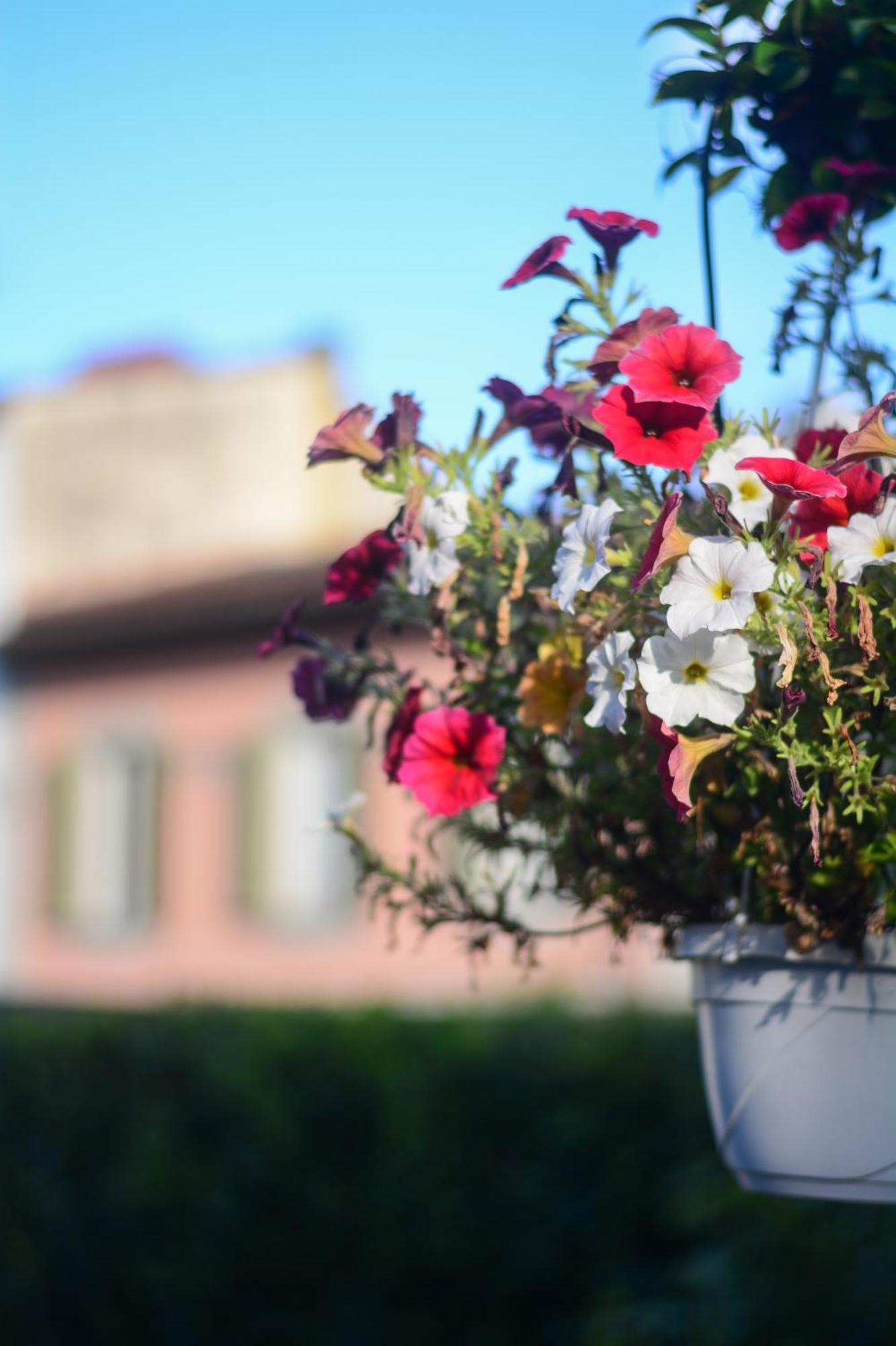 Villa Gelsomino Garden Firenze Bagian luar foto