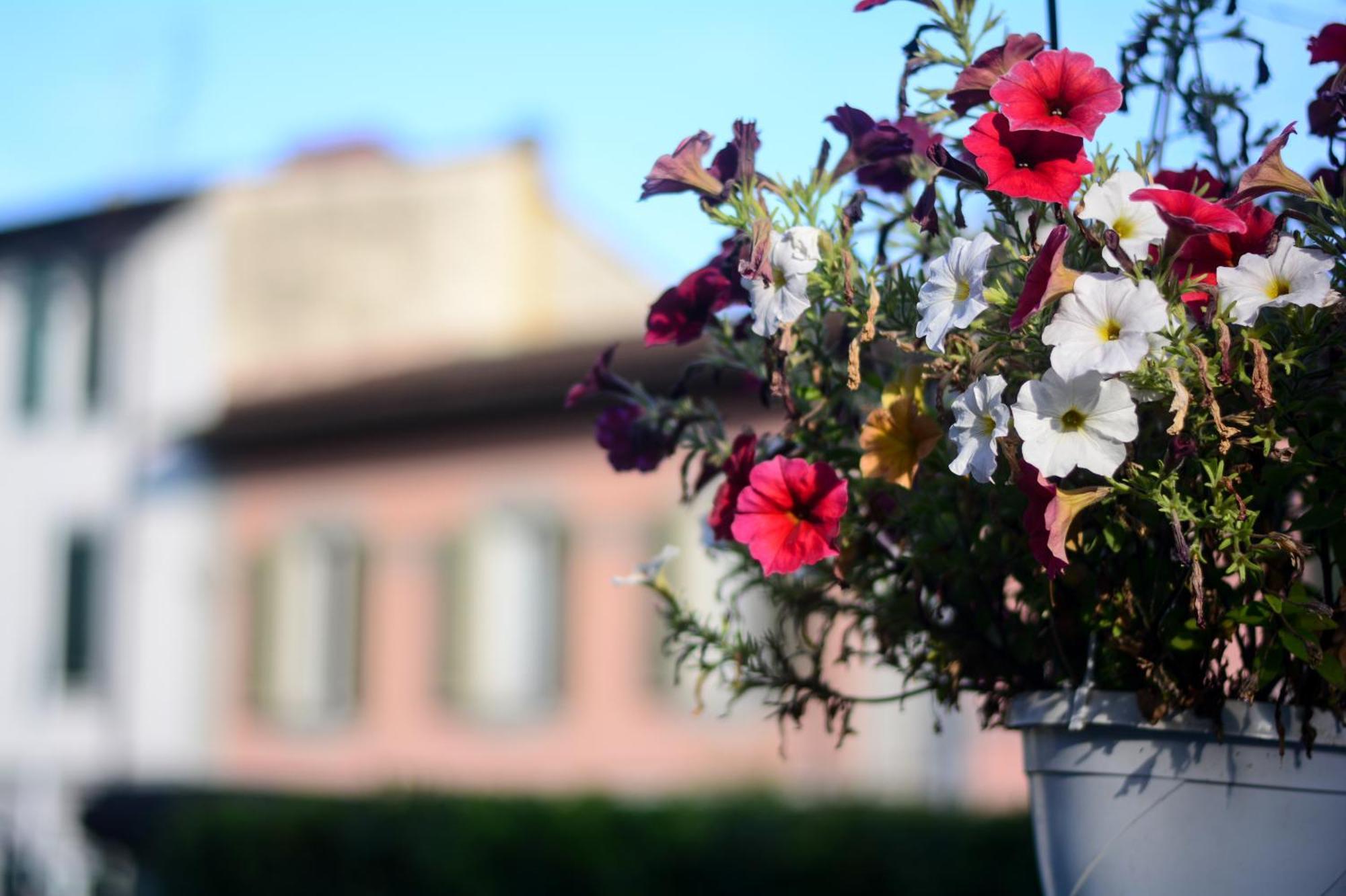 Villa Gelsomino Garden Firenze Bagian luar foto